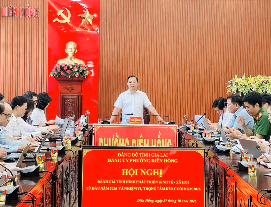 dang-uy-phuong-dien-hong.jpg
