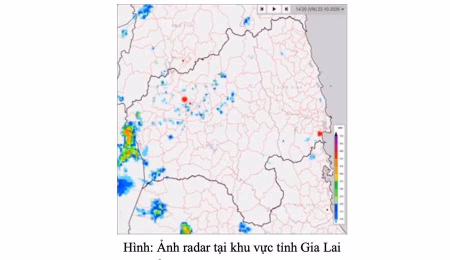 canh-bao-mua-giong.png