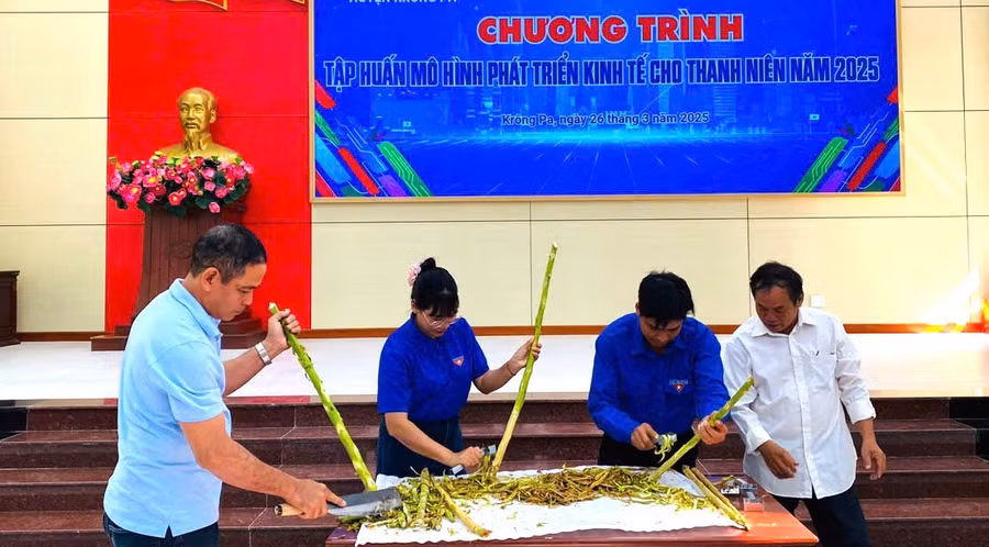cac-ban-dvtn-thuc-hanh-tap-huan-ky-thuat-got-vo-thuoc-la.jpg