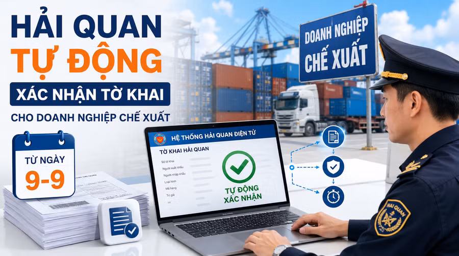 to-khai-hai-quan-tu-dong.png