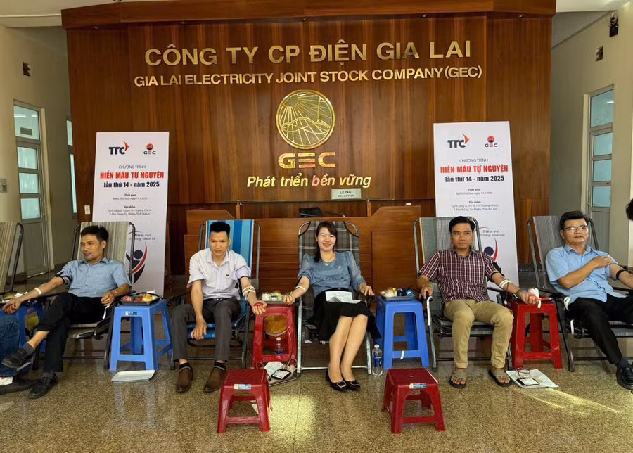 dong-dao-can-bo-cong-nhan-vien-cong-ty-co-phan-dien-gia-lai-tham-gia-hmtn.jpg