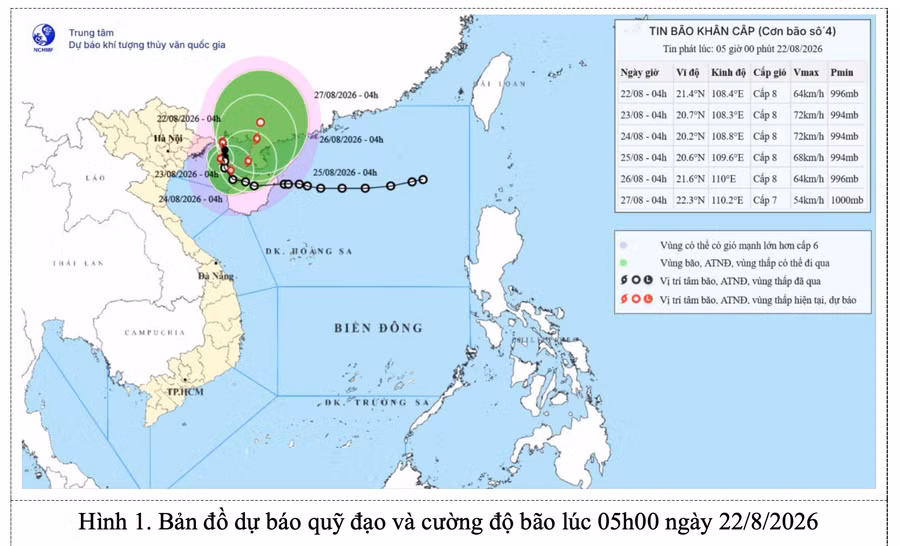 bao-so-4.png
