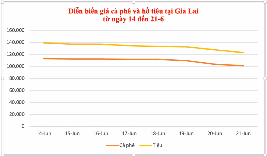 anh-man-hinh-2025-06-21-luc-132528.png