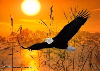 el-condor-pasa.jpg