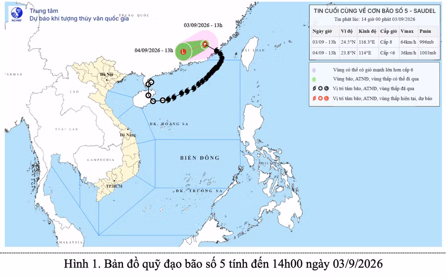bao-so-5-suy-yeu.png