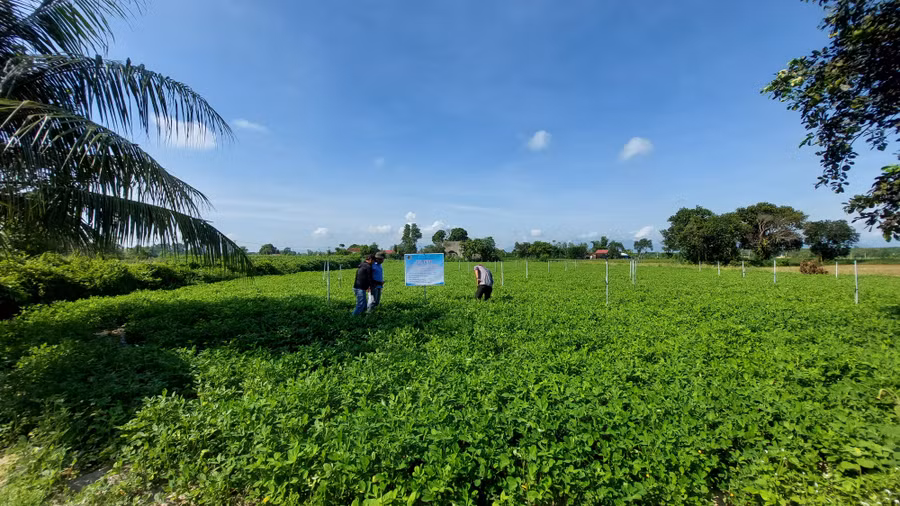 mo-hinh-tham-canh-canh-tac-lac-gan-lien-ket-chuoi-co-su-dung-he-thong-tuoi-nuoc-tiet-kiem.jpg