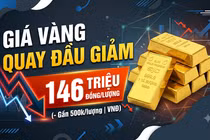 Giá vàng quay đầu giảm, vàng miếng về 146 triệu đồng/lượng