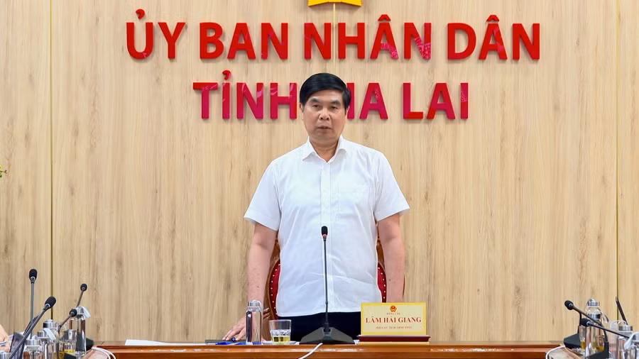 Phó Chủ tịch UBND tỉnh Lâm Hải Giang phát biểu chỉ đạo tại cuộc họp. Ảnh: Nhật Trường