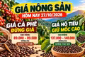 Giá nông sản hôm nay 27/10: Cà phê đứng giá dưới 90.000 đồng/kg