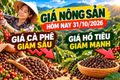 Giá nông sản hôm nay 31/10: Cà phê dưới 88.000 đồng, hồ tiêu giảm mạnh