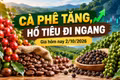 Giá cà phê, hồ tiêu hôm nay 2/10: Cà phê tăng mạnh, tiêu đứng giá