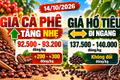 Giá cà phê, hồ tiêu hôm nay 14/10: Cà phê tăng nhẹ, hồ tiêu giữ giá