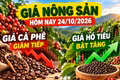 Giá nông sản hôm nay 24/10: Cà phê giảm tiếp, hồ tiêu bật tăng