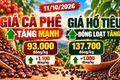 Giá cà phê, hồ tiêu hôm nay 11/10: Hai mặt hàng cùng bật tăng