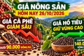 Giá nông sản hôm nay 26/10: Cà phê chịu sức ép mạnh, hồ tiêu giữ vùng giá cao