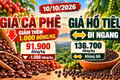 Giá cà phê, hồ tiêu hôm nay 10/10: Cà phê giảm sâu, hồ tiêu đi ngang