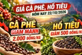Giá nông sản hôm nay 22/10: Cà phê, hồ tiêu đồng loạt giảm