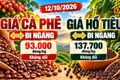 Giá cà phê, hồ tiêu hôm nay 12/10: Hai mặt hàng cùng đi ngang