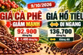 Giá cà phê, hồ tiêu hôm nay 9/10: Cà phê giảm sâu, hồ tiêu đi ngang