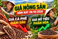 Giá nông sản hôm nay 28/10: Cà phê giảm tiếp, hồ tiêu giữ giá