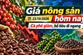 Giá nông sản hôm nay 23/10: Cà phê giảm tiếp, hồ tiêu giữ giá