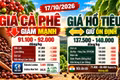 Giá cà phê, hồ tiêu hôm nay 17/10: Cà phê giảm sâu, thị trường thế giới bất ngờ bật tăng