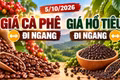 Giá cà phê, hồ tiêu hôm nay 5/10: Hai mặt hàng cùng đi ngang