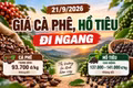 Giá cà phê hôm nay 21/9 giữ mức 93.700 đồng/kg
