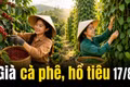 Giá cà phê hôm nay 17/8 tăng trở lại, hồ tiêu tiếp tục đi ngang