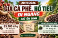 Giá cà phê, hồ tiêu hôm nay 20/9: Hai mặt hàng cùng đi ngang