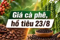 Giá cà phê, hồ tiêu hôm nay 23/8: Thị trường đồng loạt đi ngang