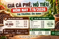 Giá cà phê, hồ tiêu hôm nay 7/9: Thị trường đồng loạt đi ngang