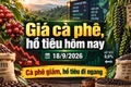 Giá cà phê hôm nay 18/9 giảm tiếp, xuống còn 93.700 đồng/kg