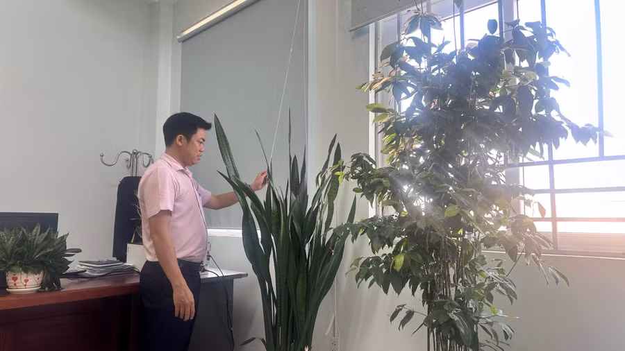 Việc chăm sóc cây xanh sẽ giúp mọi người hồi phục tinh thần, mang lại nguồn năng lượng tích cực cho công việc. Ảnh: Sơn Ca
