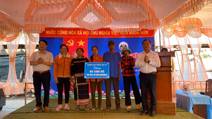 Sở Giao thông-Vận tải tặng 5 con bò hỗ trợ cho các gia đình đăng ký thoát nghèo trong năm 2024. Ảnh: Sơn Ca Sở Giao thông-Vận tải tặng 5 con bò hỗ trợ cho các gia đình đăng ký thoát nghèo trong năm 2024. Ảnh: Sơn Ca