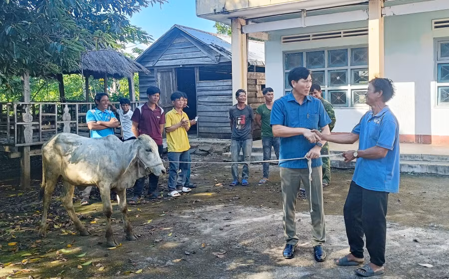 Ông Trần Đình Hiệp-Bí thư Huyện ủy, Chủ tịch HĐND huyện Mang Yang (thứ 2 từ phải sang) trao bò giống sinh sản cho gia đình có hoàn cảnh khó khăn tại làng Klăh, xã Kon Chiêng. Ảnh: K.N