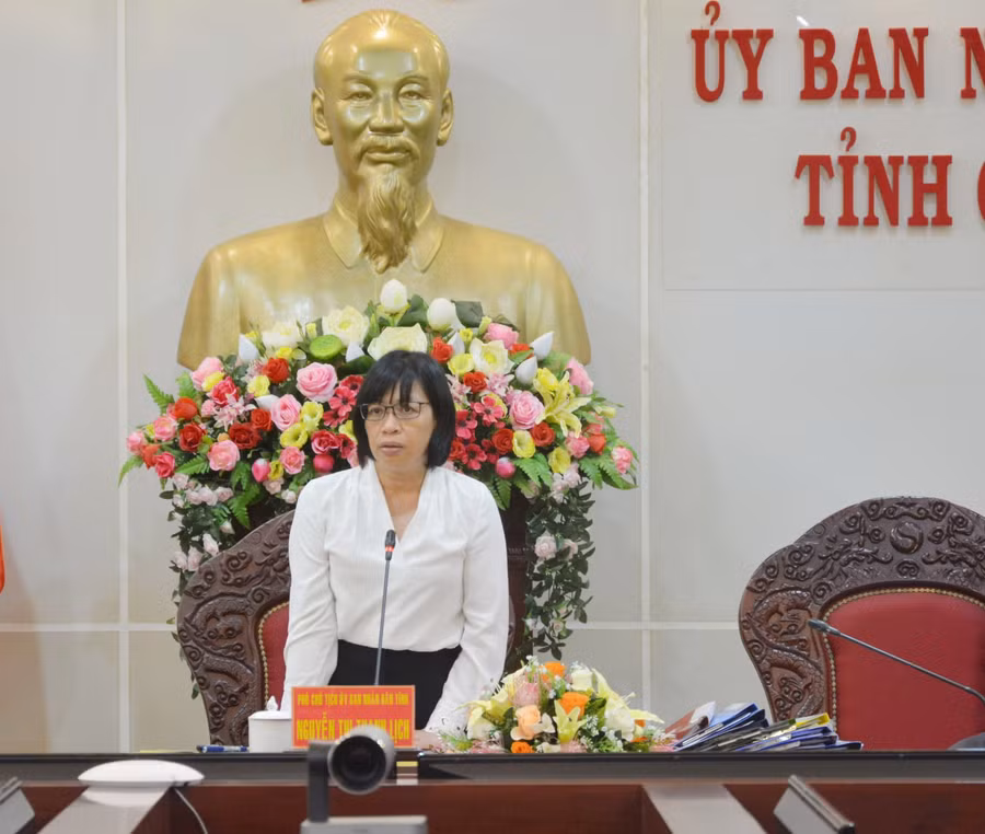 Phó Chủ tịch UBND tỉnh phát biểu tại hội nghị. Ảnh: P.D