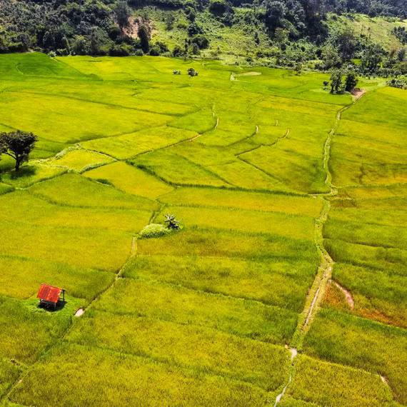 Nhịp sống bình dị ở Kon Ka Kinh