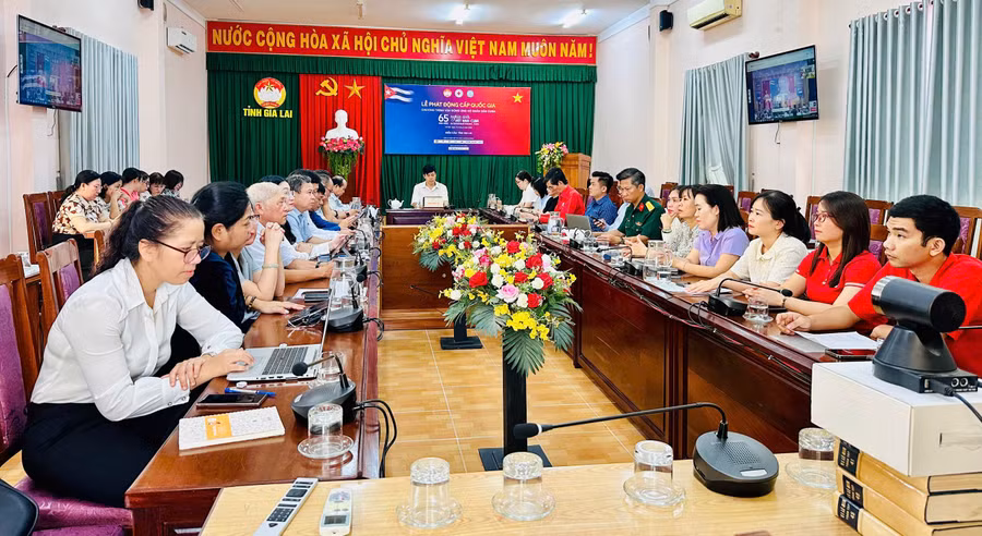 anh-2-toan-canh-diem-cau-tai-tinh-gia-lai.jpg