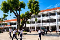 Phường Quy Nhơn Nam thông tin kết quả rà soát, sắp xếp nhân sự trường học