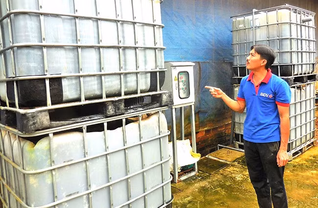 Mô hình xử lý nước thải chăn nuôi heo quy mô nhỏ bằng công nghệ lọc sinh học tuần hoàn giúp giảm tối đa mùi hôi và nước thải xả ra môi trường đảm bảo tiêu chuẩn cho phép. Ảnh: V.L