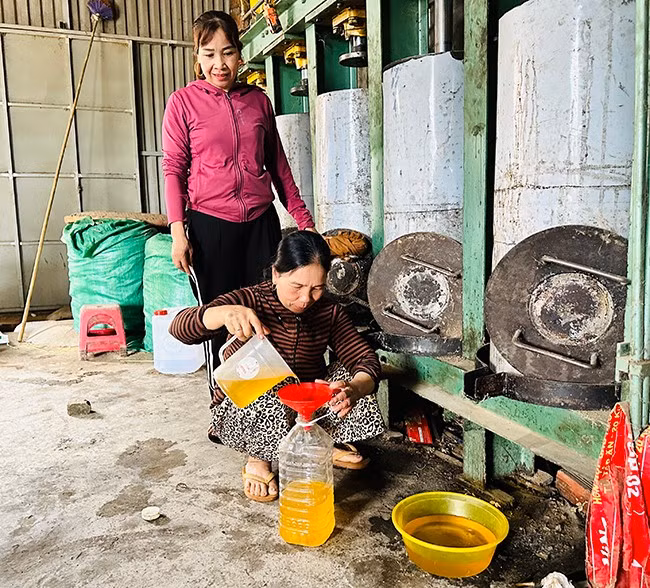 Bà Lê Thị Sang (người ngồi, ở thôn Định Quang, xã Vĩnh Quang, huyện Vĩnh Thạnh) nhờ các nguồn vốn vay SXKD tại vùng khó khăn, giải quyết việc làm để đầu tư hệ thống ép dầu phộng, nâng cao hiệu quả kinh tế. Ảnh: T.C
