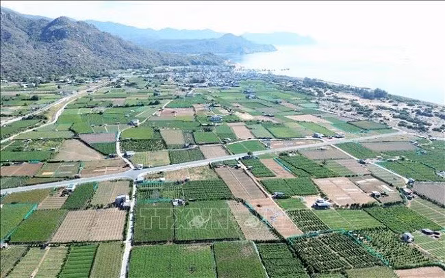 Dự án Nhà máy điện hạt nhân Ninh Thuận 2 dự kiến được xây tại thôn Thái An, xã Vĩnh Hải, huyện Ninh Hải. Ảnh minh họa: Nguyễn Thành/TTXVN