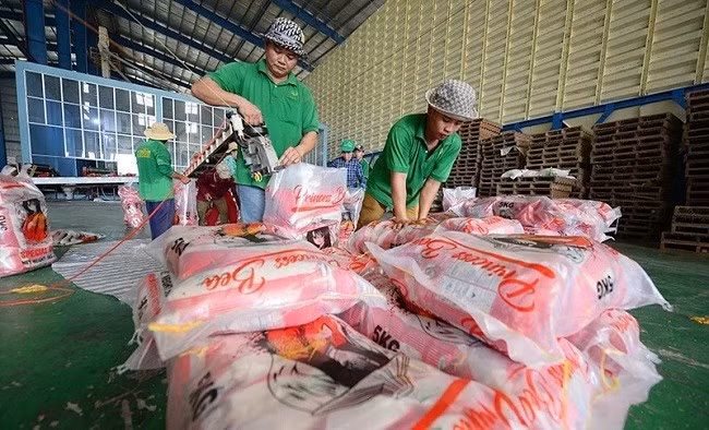 Đóng gói gạo xuất khẩu ở Công ty TNHH Chơn Chính (Đồng Tháp). Ảnh: TRẦN QUỐC