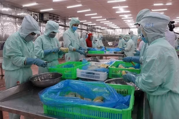 Chế biến nông sản xuất khẩu. (Nguồn: TTXVN) Chế biến nông sản xuất khẩu. (Nguồn: TTXVN)