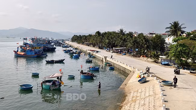 Bờ kè mới ven đầm nhộn nhịp tàu cá ở vạn chài Vĩnh Lợi.