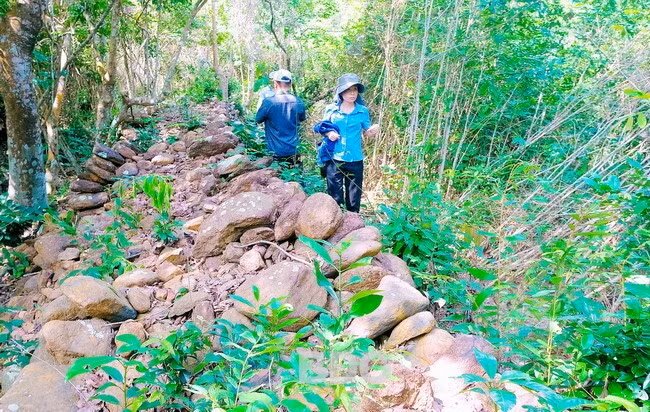 Những đoạn tường lũy bị hư hại xuất lộ lớp đá cuội được rải bên trong mặt tường. Ảnh: NGỌC NHUẬN Những đoạn tường lũy bị hư hại xuất lộ lớp đá cuội được rải bên trong mặt tường. Ảnh: NGỌC NHUẬN