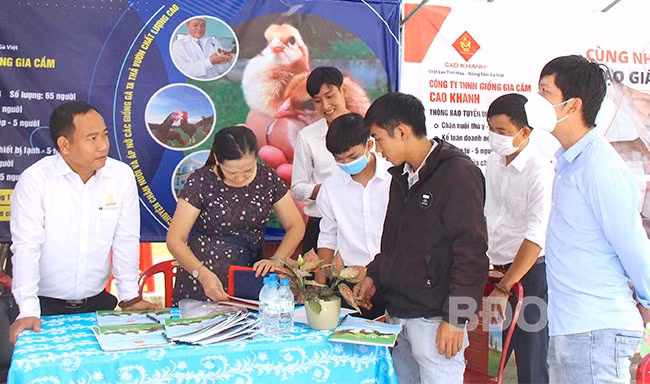 Sinh viên Trường CĐ Kỹ thuật Công nghệ Quy Nhơn ứng tuyển với DN tại Ngày hội việc làm tổ chức tháng 9.2022. Ảnh: N.M