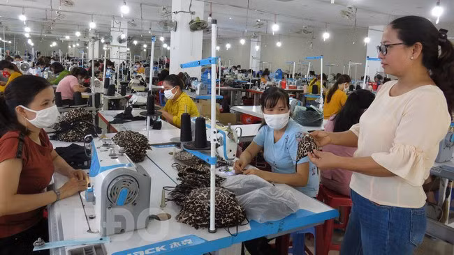 Hoạt động trợ giúp pháp lý góp phần giúp các DN nhỏ và vừa ổn định sản xuất, đảm bảo quyền lợi của người lao động. - Trong ảnh: Người lao động của Công ty TNHH may mặc An Đẩu (TX An Nhơn). Ảnh: S.L