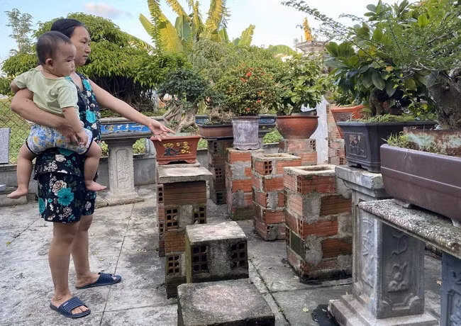 Hiện trường vườn cây kiểng bonsai của anh Nguyễn Doãn Châu bị kẻ gian trộm cắp. Ảnh: N. HÂN Hiện trường vườn cây kiểng bonsai của anh Nguyễn Doãn Châu bị kẻ gian trộm cắp. Ảnh: N. HÂN